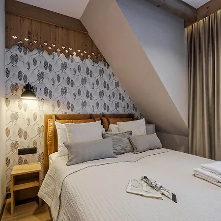 Ski, Odkryj-bialke Apartament Białka Tatrzańska